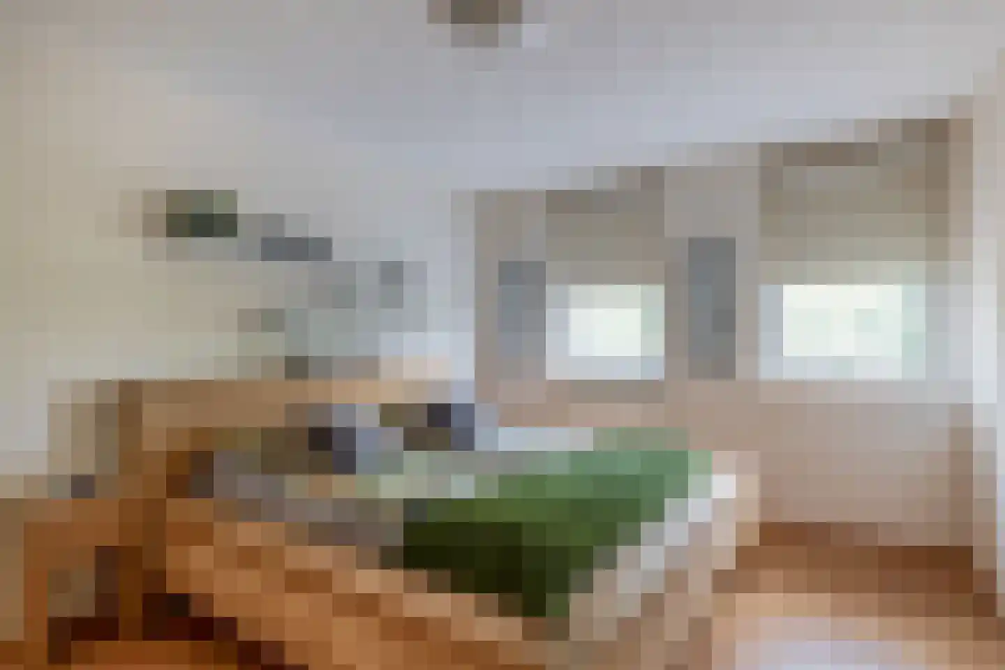 Den Ekker 22 Sint-Oedenrode thumbnail 27