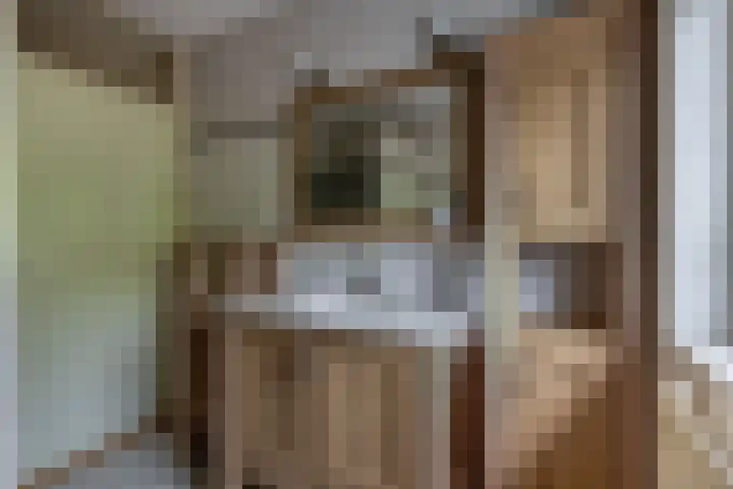 Den Ekker 22 Sint-Oedenrode thumbnail 30