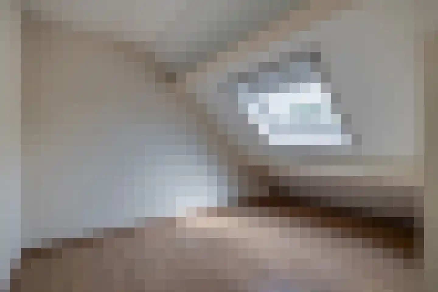 Den Ekker 22 Sint-Oedenrode thumbnail 39