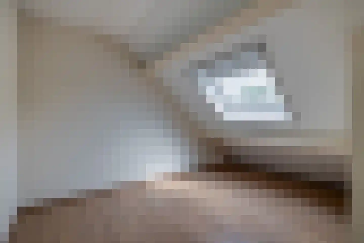 Den Ekker 22 Sint-Oedenrode thumbnail 39