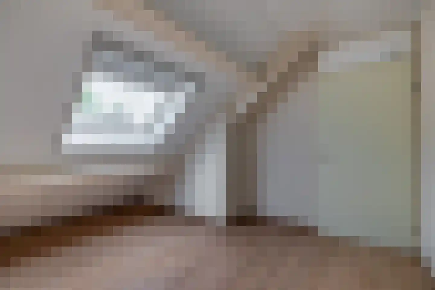 Den Ekker 22 Sint-Oedenrode thumbnail 40