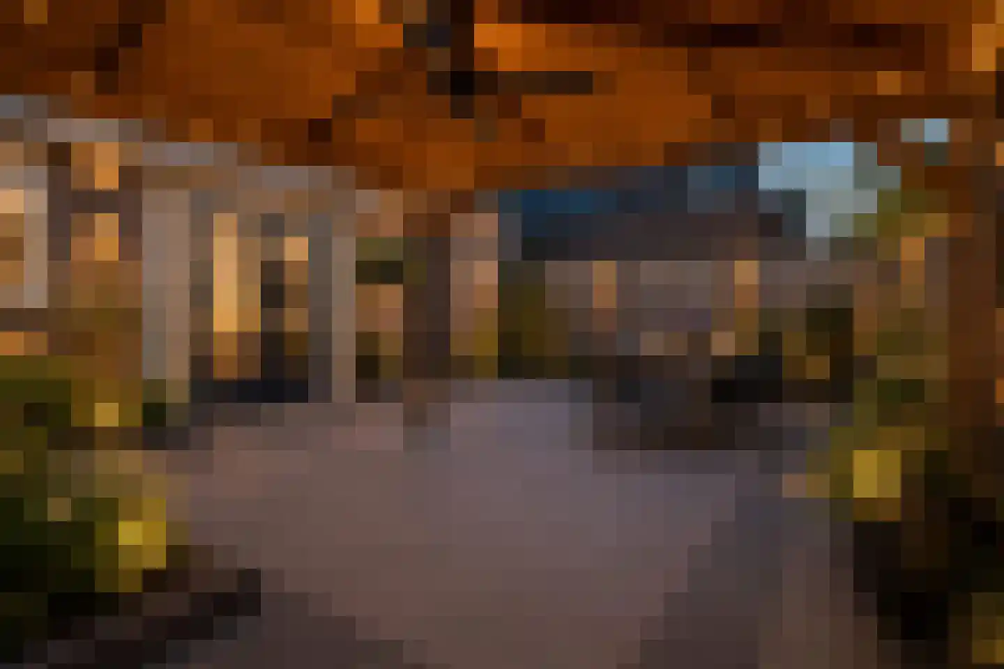 Den Ekker 22 Sint-Oedenrode thumbnail 41