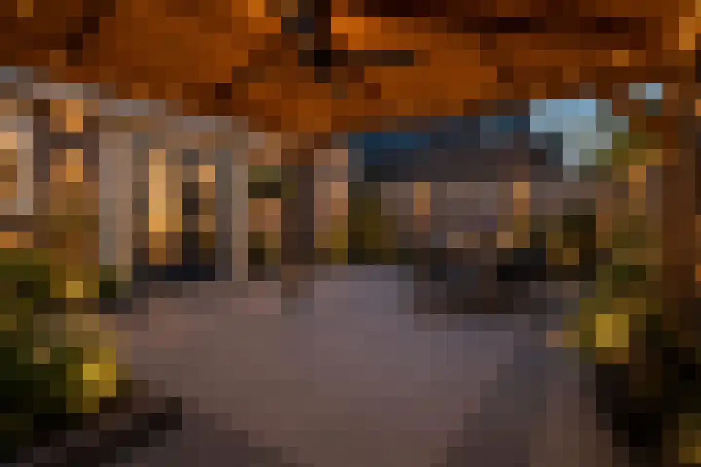Den Ekker 22 Sint-Oedenrode thumbnail 43