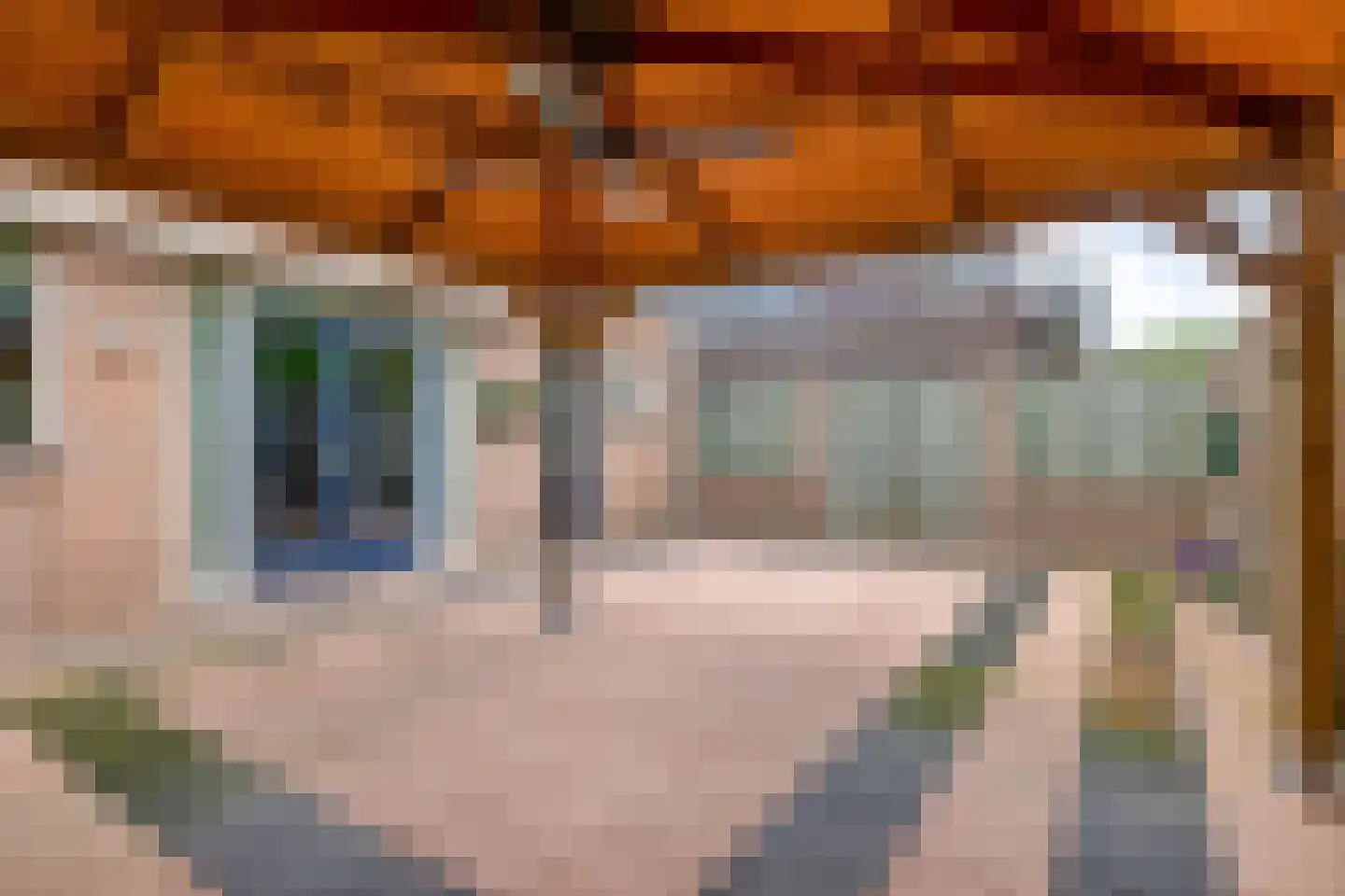 Den Ekker 22 Sint-Oedenrode thumbnail 44
