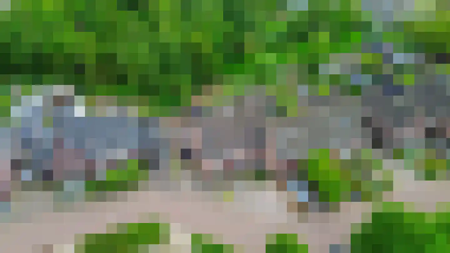 Den Ekker 22 Sint-Oedenrode thumbnail 47