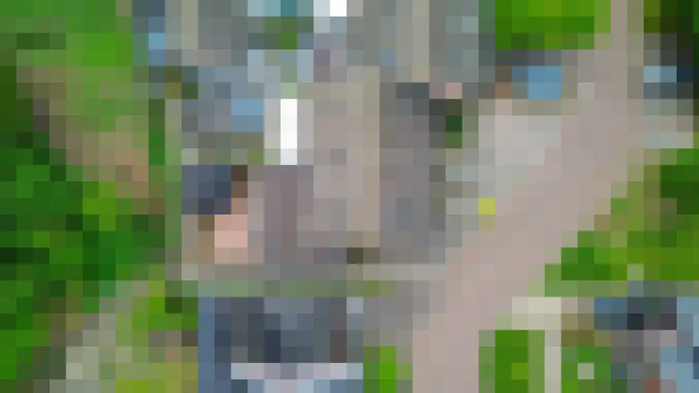 Den Ekker 22 Sint-Oedenrode thumbnail 49