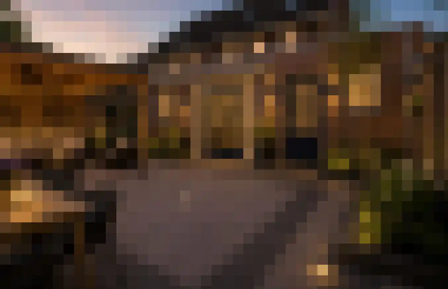 Den Ekker 22 Sint-Oedenrode thumbnail 5