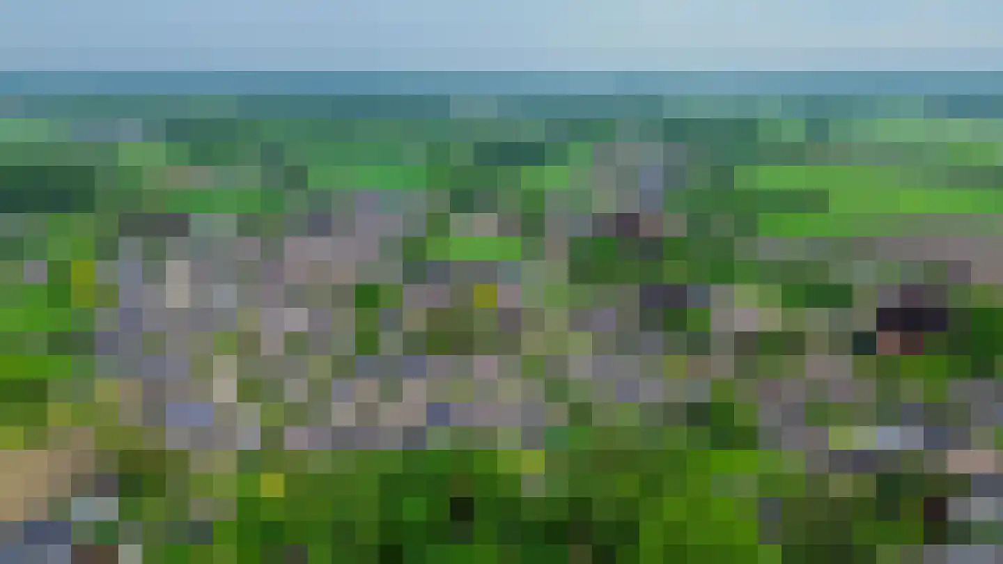 Den Ekker 22 Sint-Oedenrode thumbnail 50