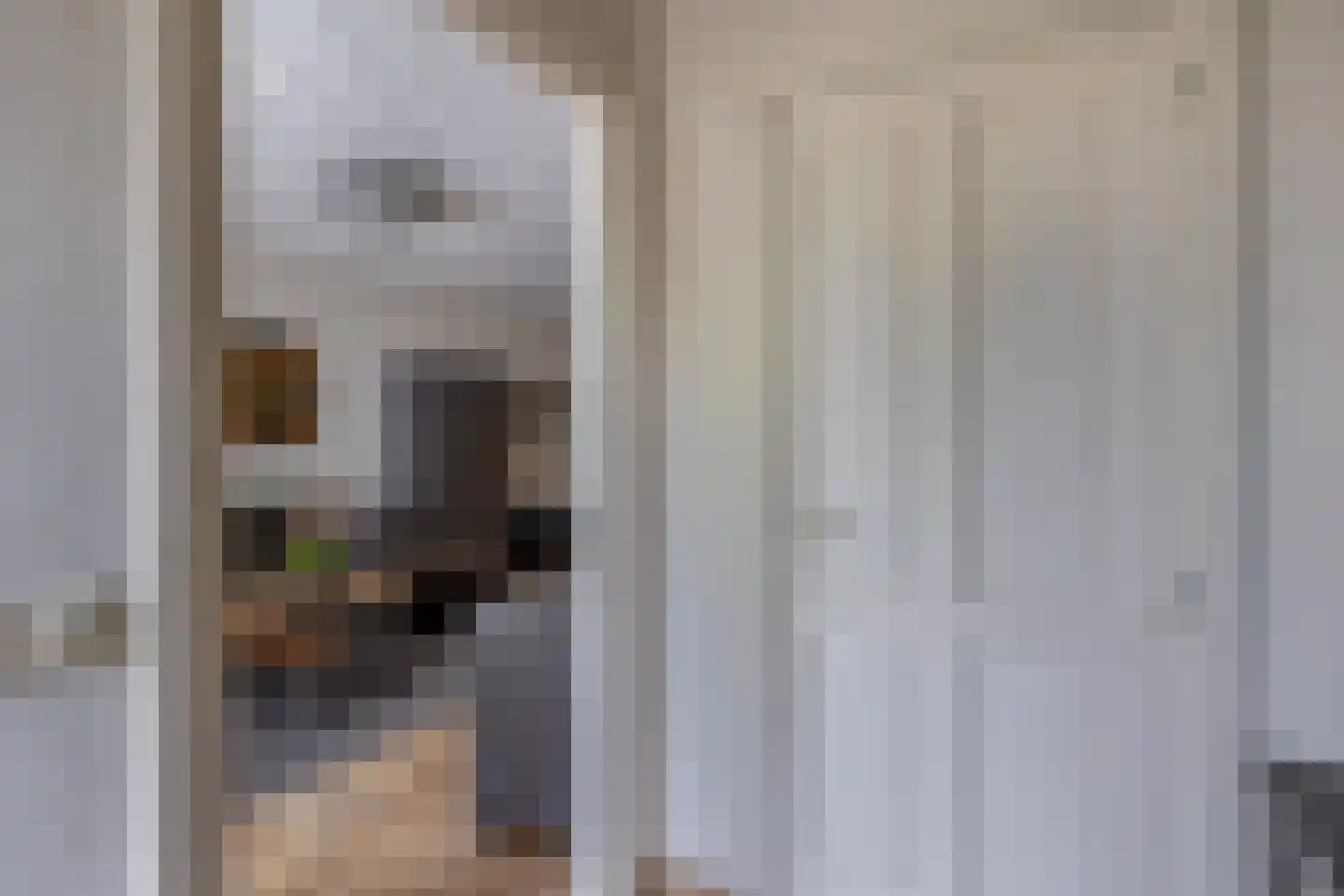 Den Ekker 22 Sint-Oedenrode thumbnail 8