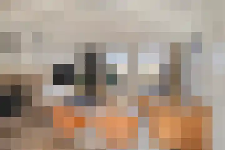 den Ekker 35 Reusel thumbnail 10