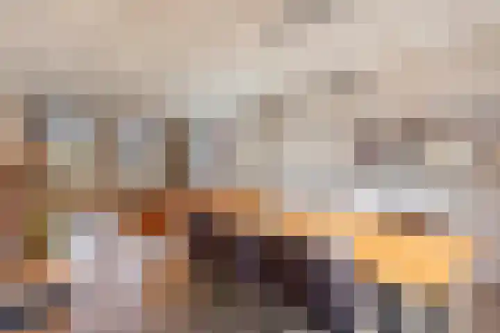 den Ekker 35 Reusel thumbnail 12
