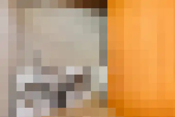 den Ekker 35 Reusel thumbnail 14