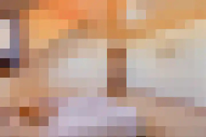 den Ekker 35 Reusel thumbnail 18