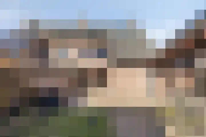 den Ekker 35 Reusel foto 2