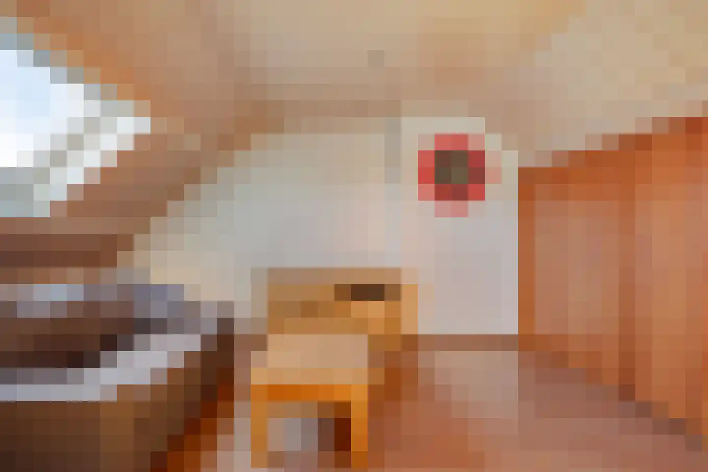 den Ekker 35 Reusel thumbnail 26