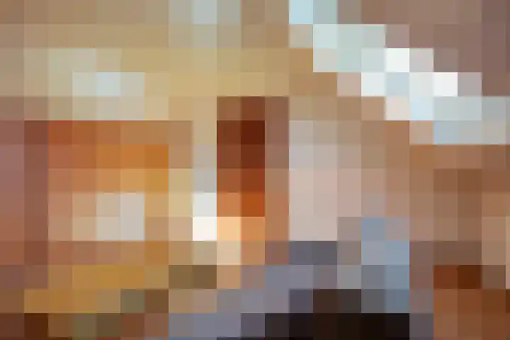 den Ekker 35 Reusel thumbnail 28