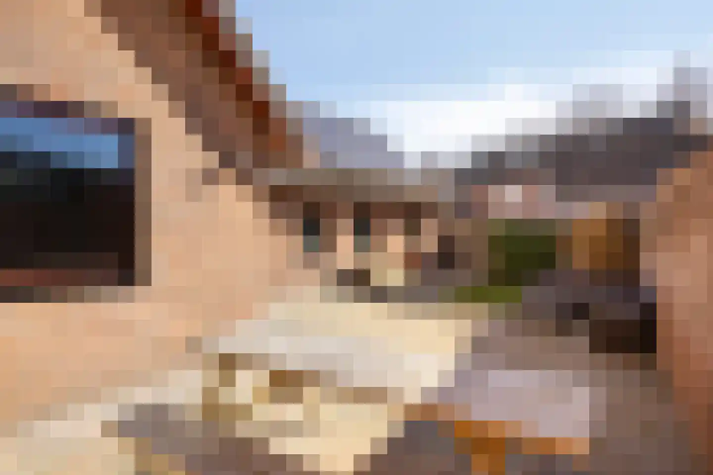 den Ekker 35 Reusel thumbnail 29