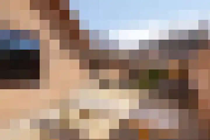 den Ekker 35 Reusel thumbnail 29