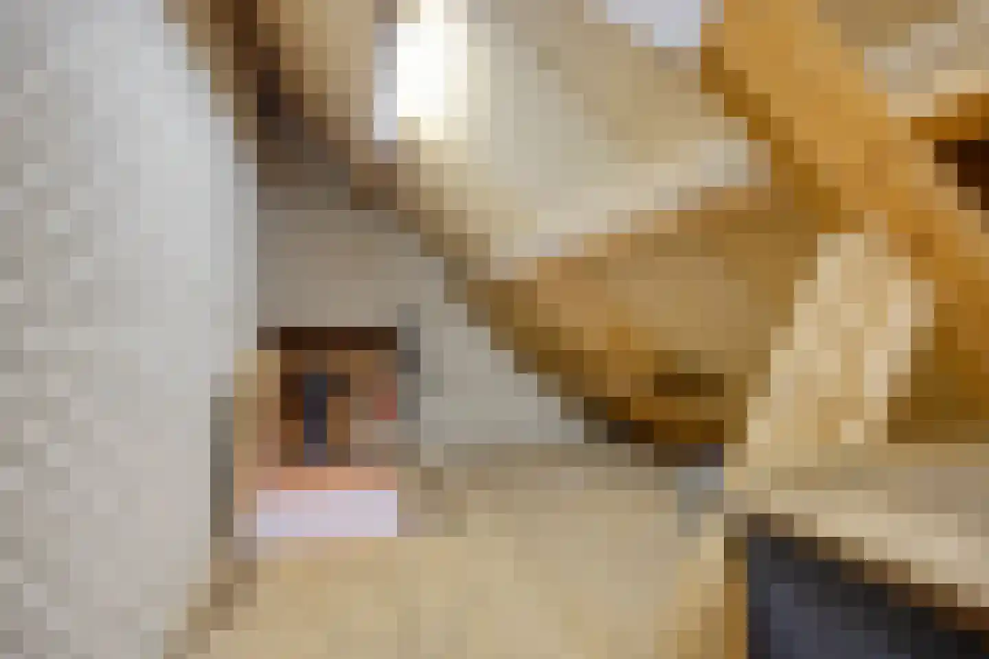 den Ekker 35 Reusel thumbnail 36