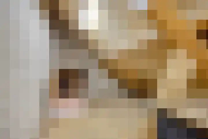 den Ekker 35 Reusel thumbnail 36