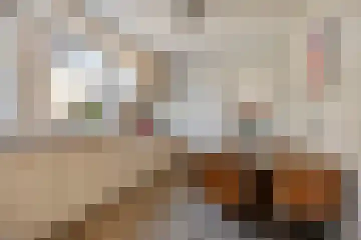 den Ekker 35 Reusel thumbnail 6