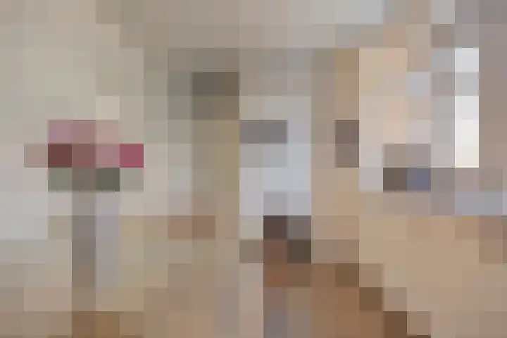 den Ekker 35 Reusel thumbnail 7