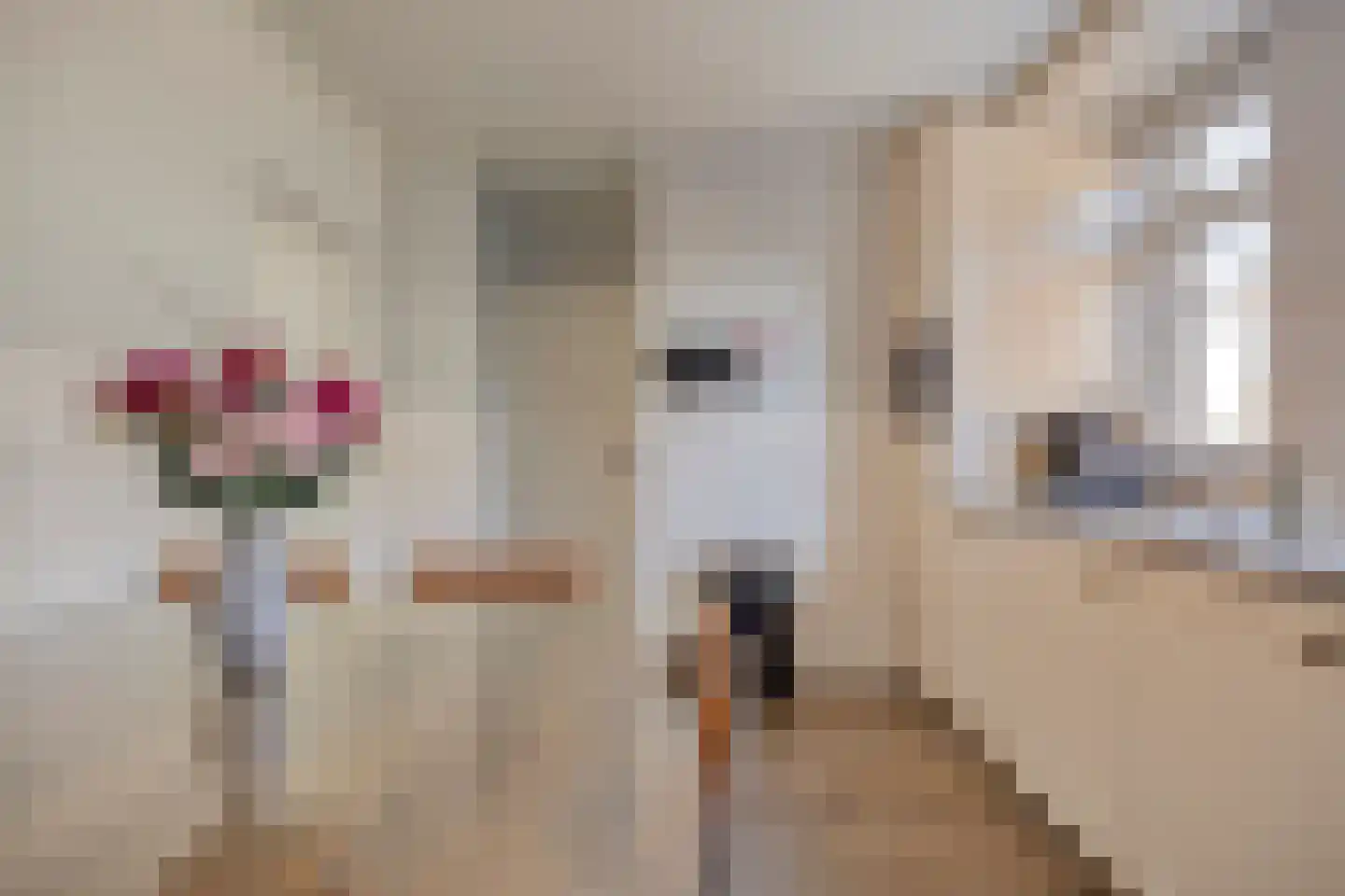 den Ekker 35 Reusel thumbnail 7