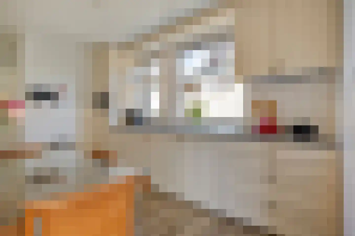 den Ekker 35 Reusel thumbnail 8