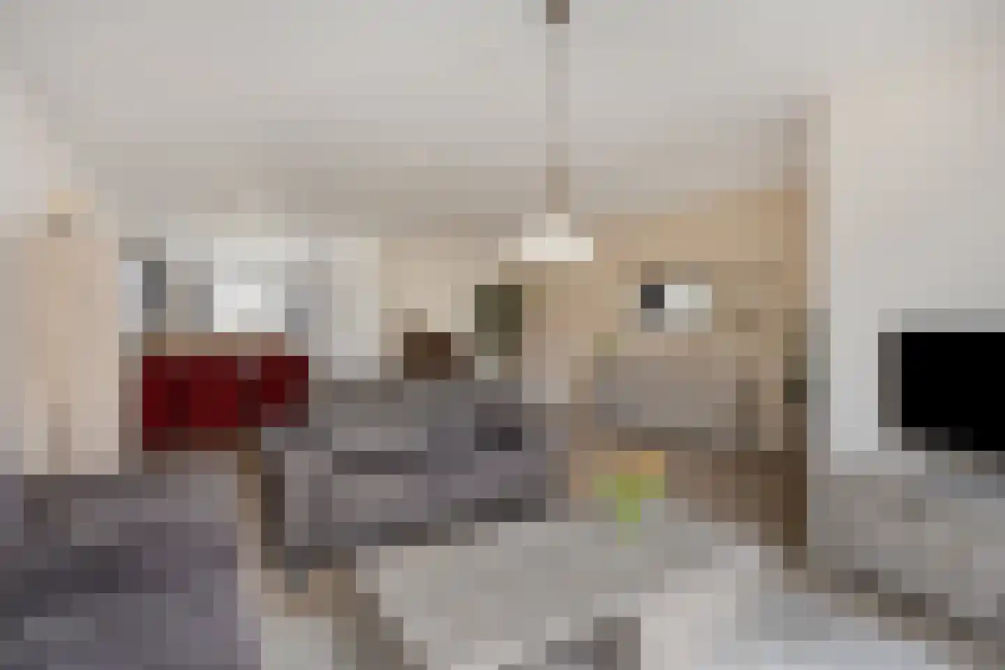 Den Elding 1 b Gemert thumbnail 19