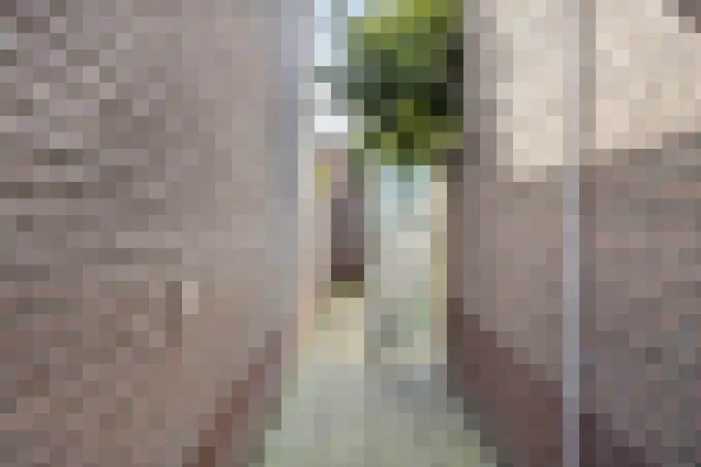 Den Elding 1 b Gemert thumbnail 35