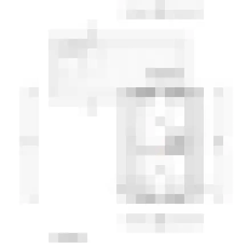den Elshout 1 A St. Willebrord thumbnail 10