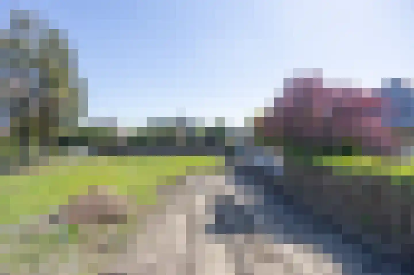 den Elshout 1 A St. Willebrord thumbnail 4