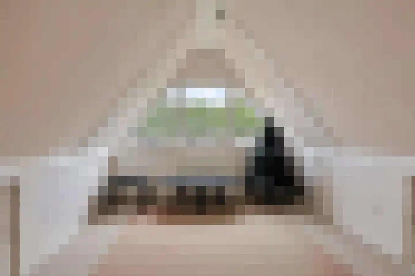 Den Elst 10 Prinsenbeek thumbnail 30