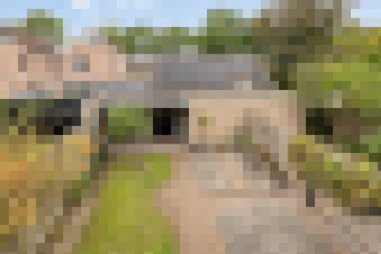 Den Elst 10 Prinsenbeek thumbnail 31