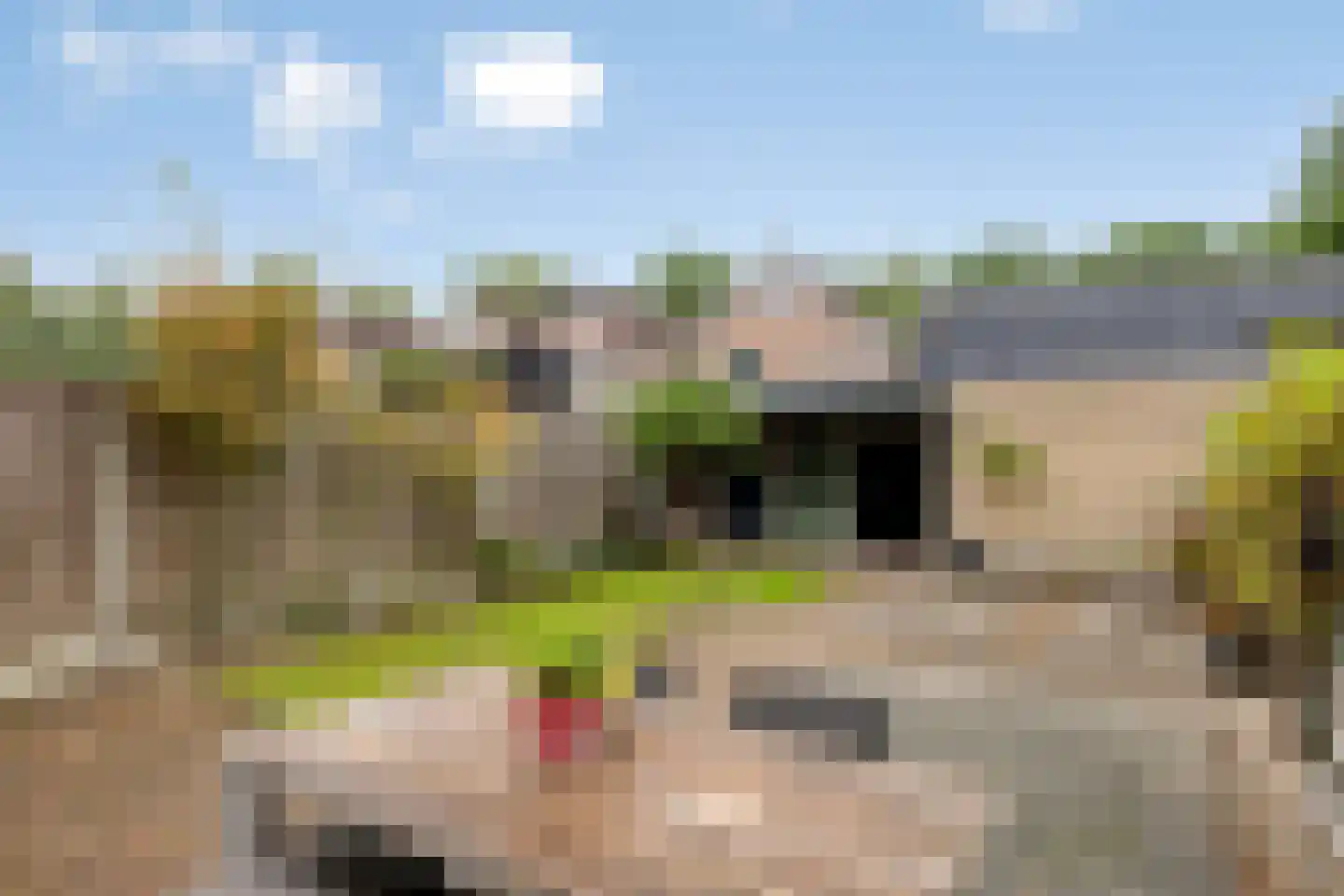 Den Elst 10 Prinsenbeek thumbnail 32