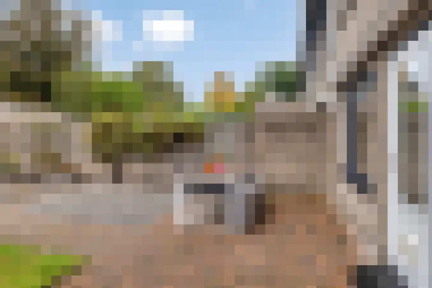 Den Elst 10 Prinsenbeek thumbnail 35