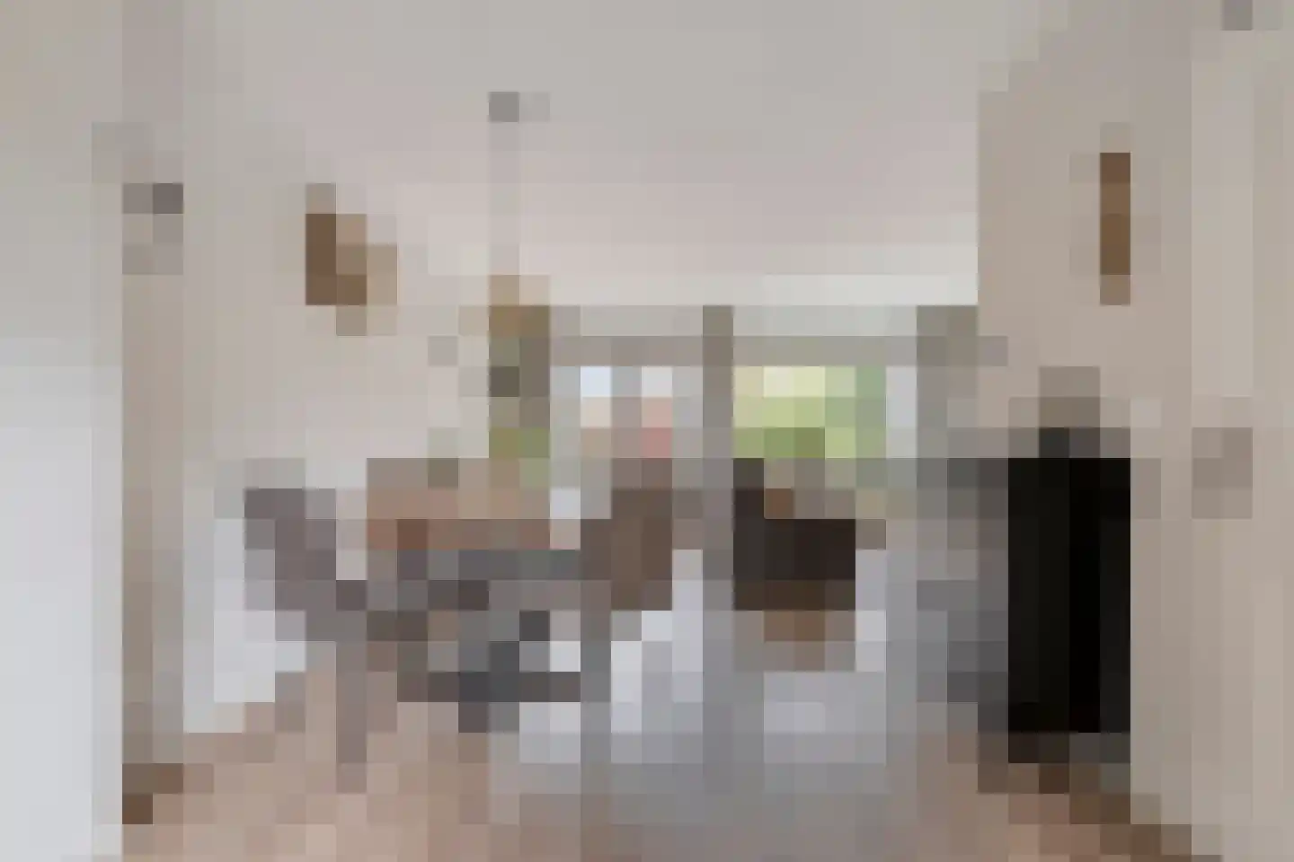 Den Elst 8 Prinsenbeek thumbnail 10