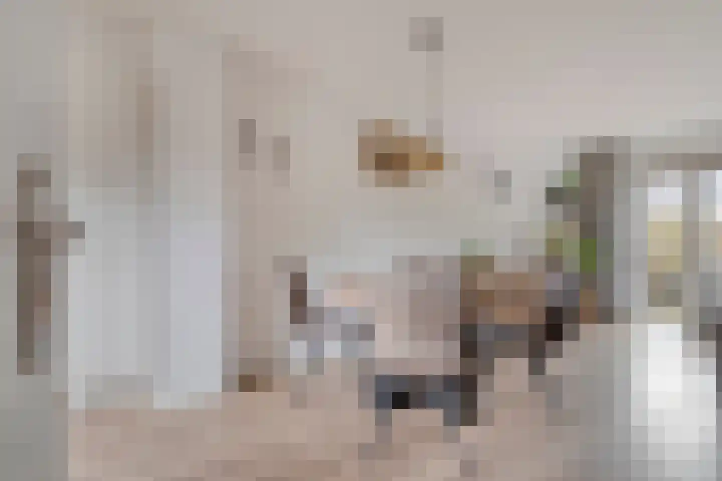 Den Elst 8 Prinsenbeek thumbnail 11