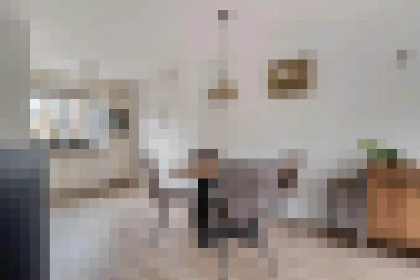 Den Elst 8 Prinsenbeek thumbnail 12