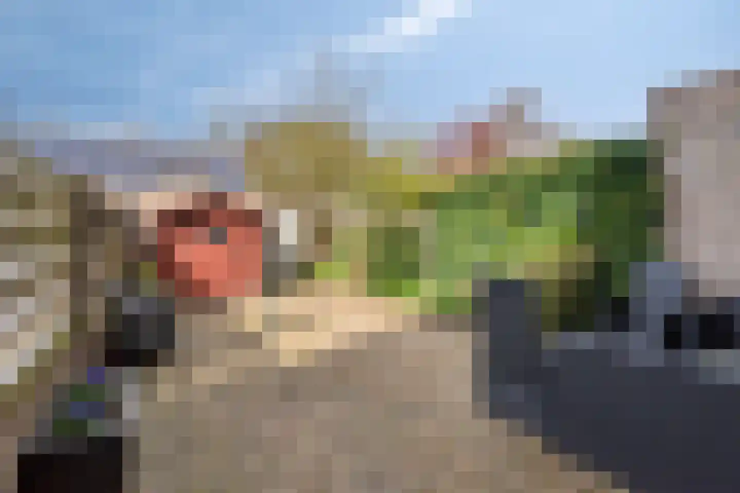 Den Elst 8 Prinsenbeek thumbnail 25