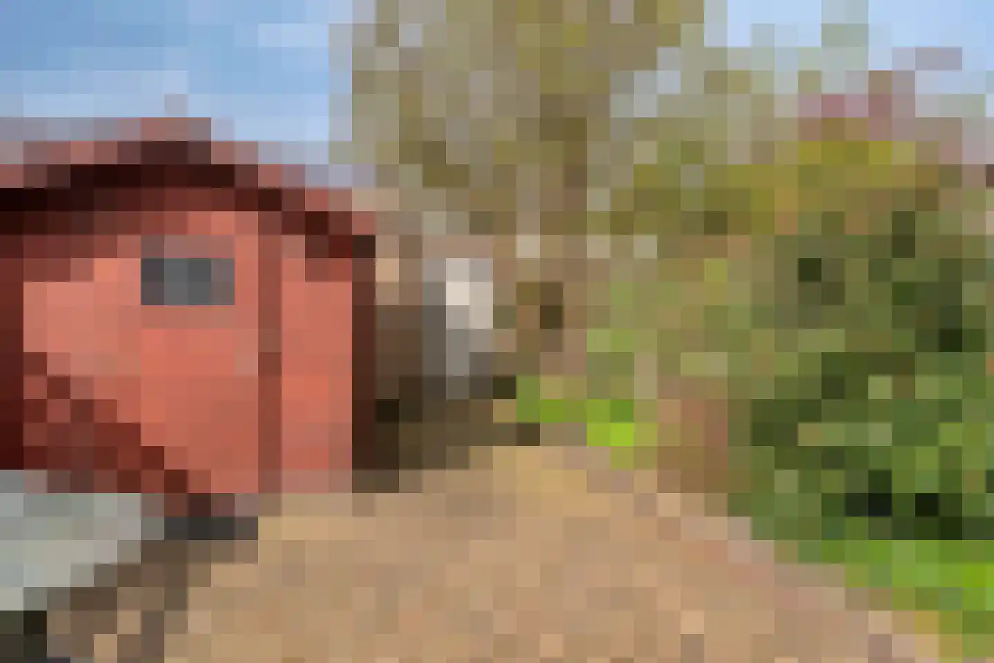 Den Elst 8 Prinsenbeek thumbnail 26