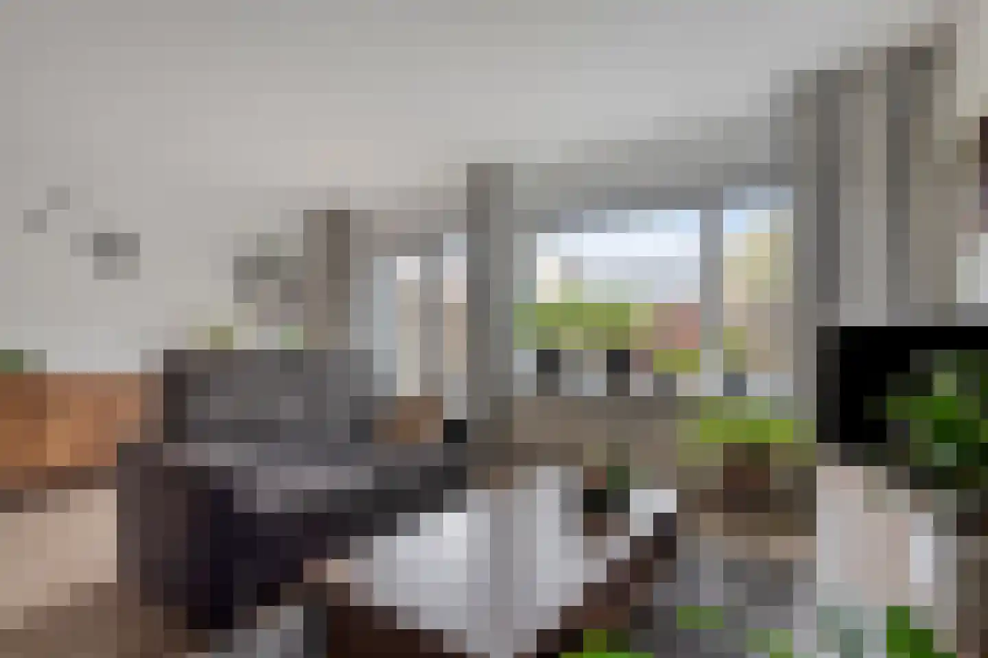 Den Elst 8 Prinsenbeek thumbnail 7
