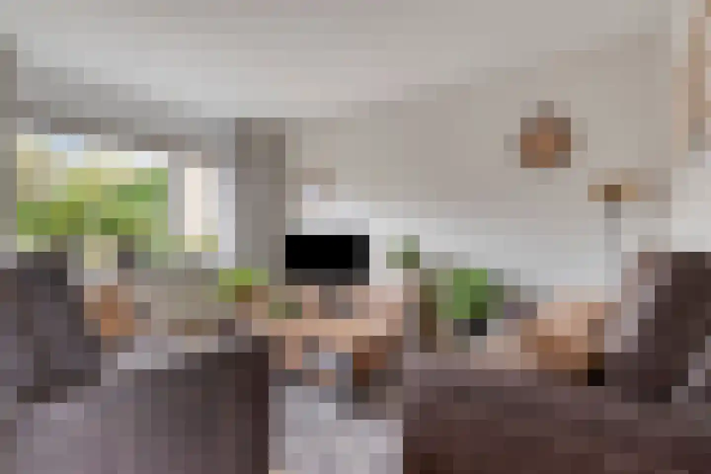 Den Elst 8 Prinsenbeek thumbnail 8