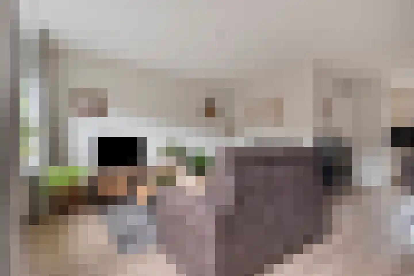 Den Elst 8 Prinsenbeek thumbnail 9