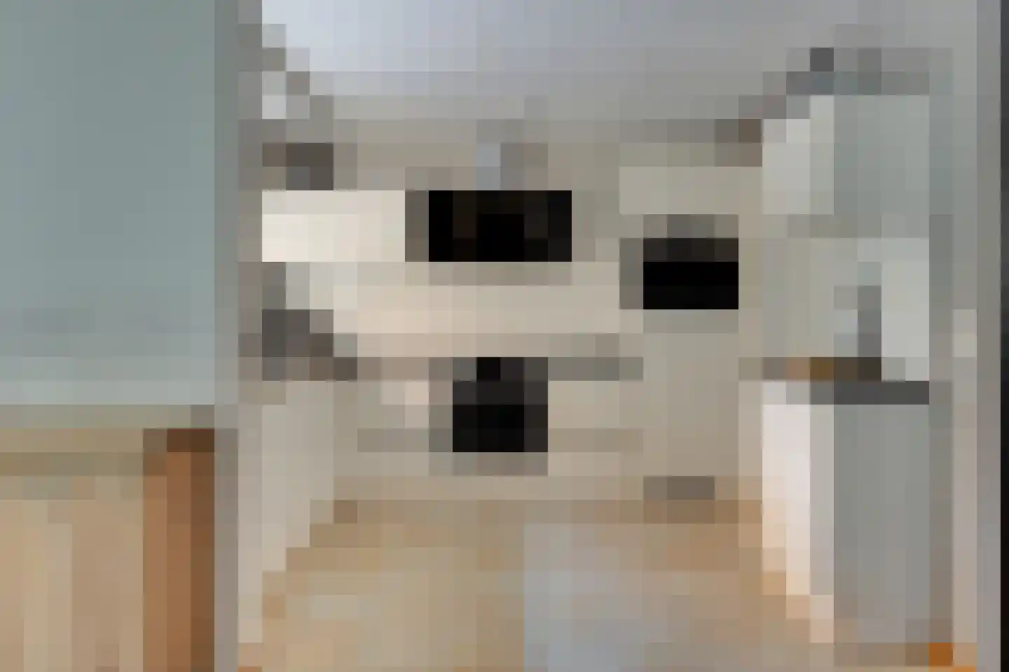 Den Emau 17 Groenlo thumbnail 15