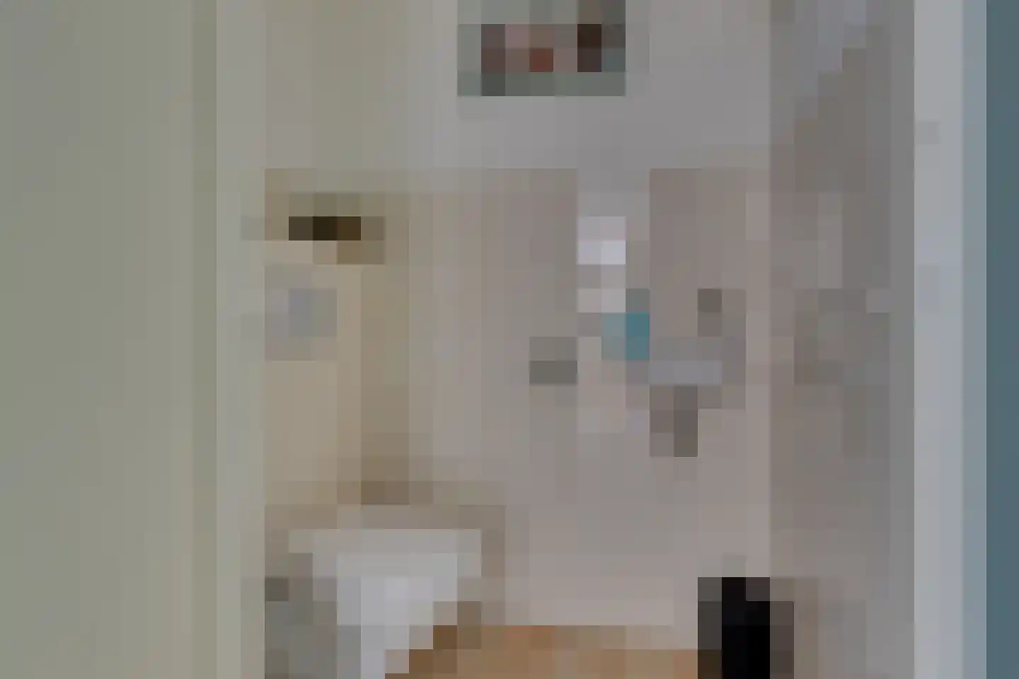 Den Emau 17 Groenlo thumbnail 21
