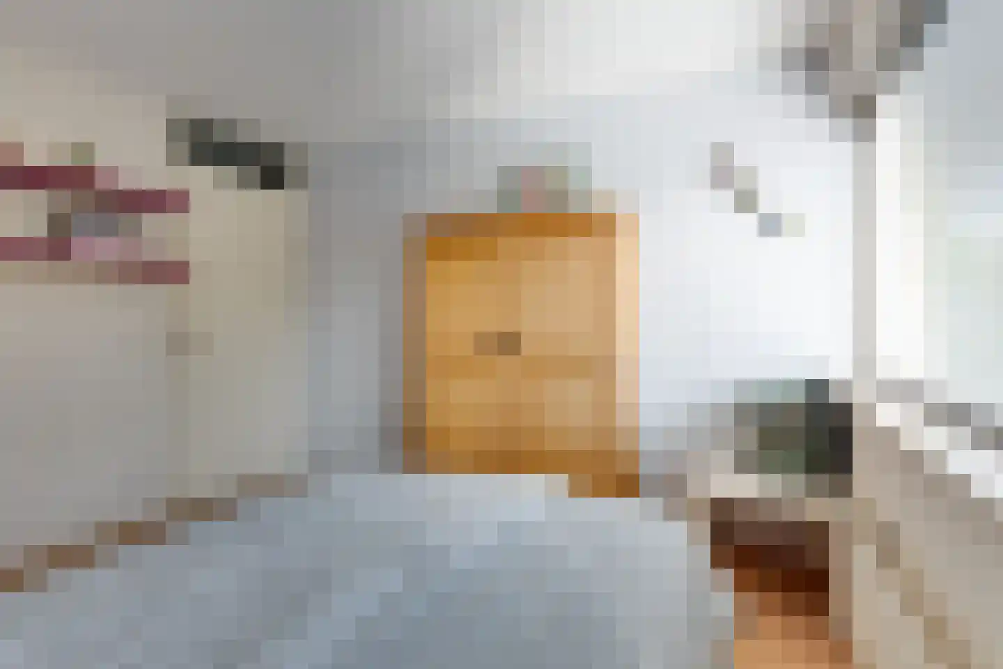 Den Emau 17 Groenlo thumbnail 28