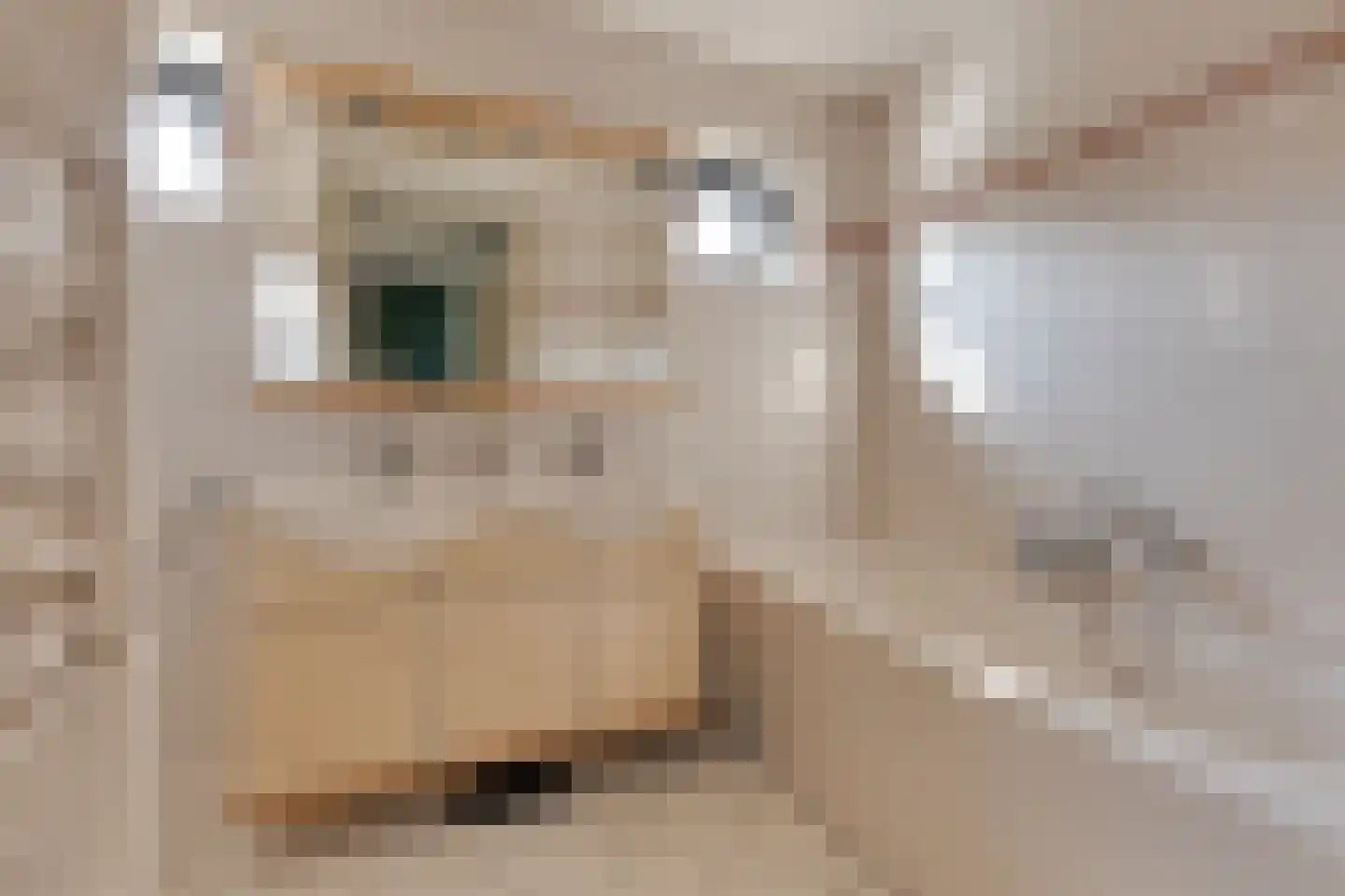 Den Emau 17 Groenlo thumbnail 31