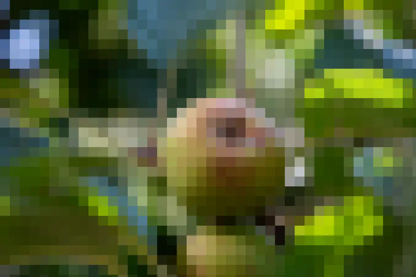 Den Emau 17 Groenlo thumbnail 48
