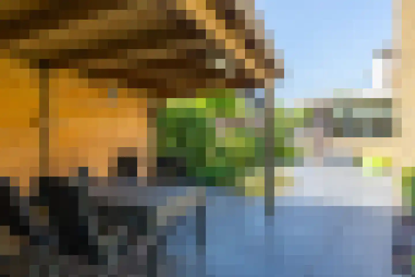 Den Emau 17 Groenlo thumbnail 49